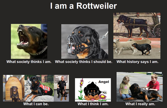 I_Am_Rottweiler